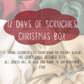 12 Days of Scrunchies-PRE ORDER (Ship on November 23rd)