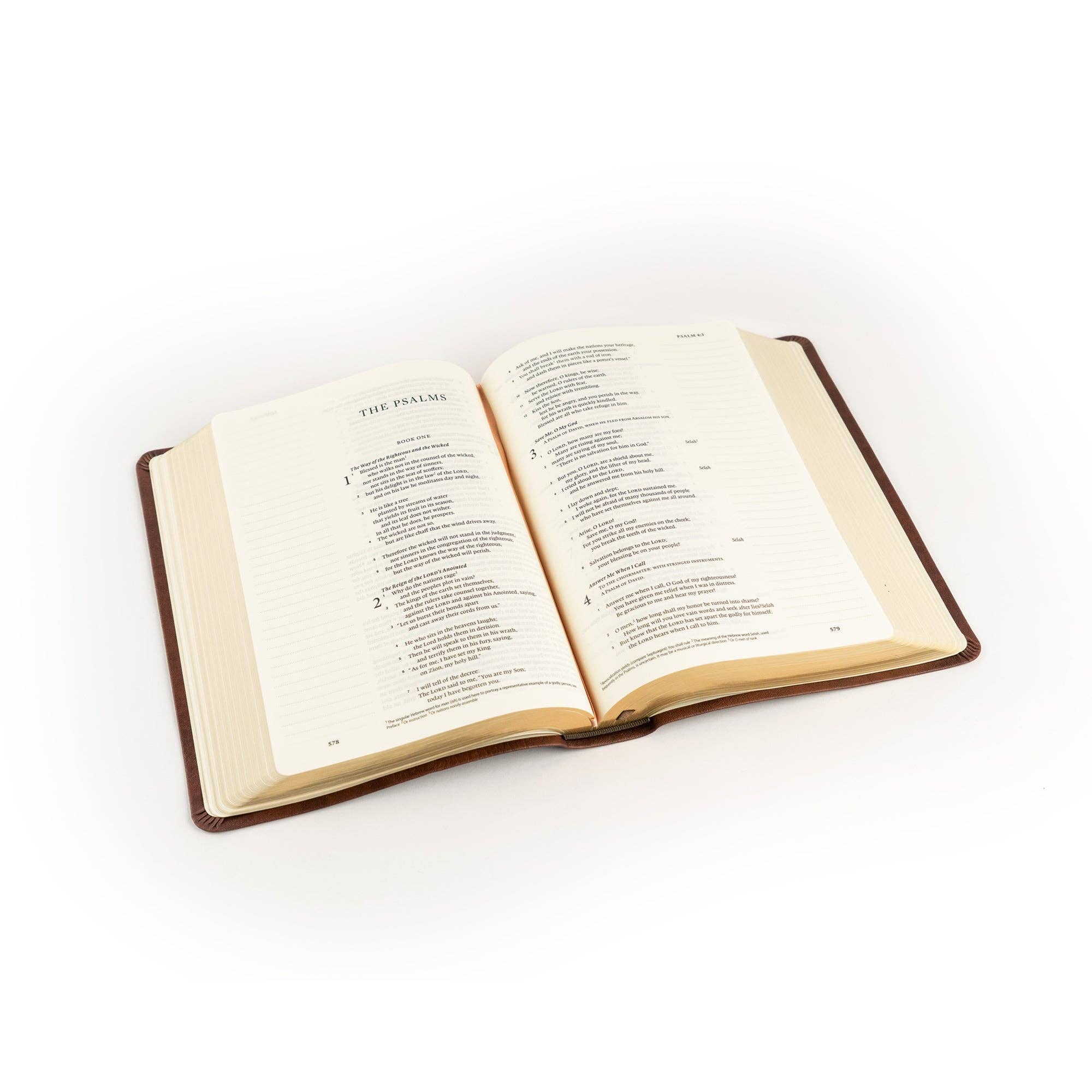 ESV Journaling Bible: Palma Theme - FINAL SALE
