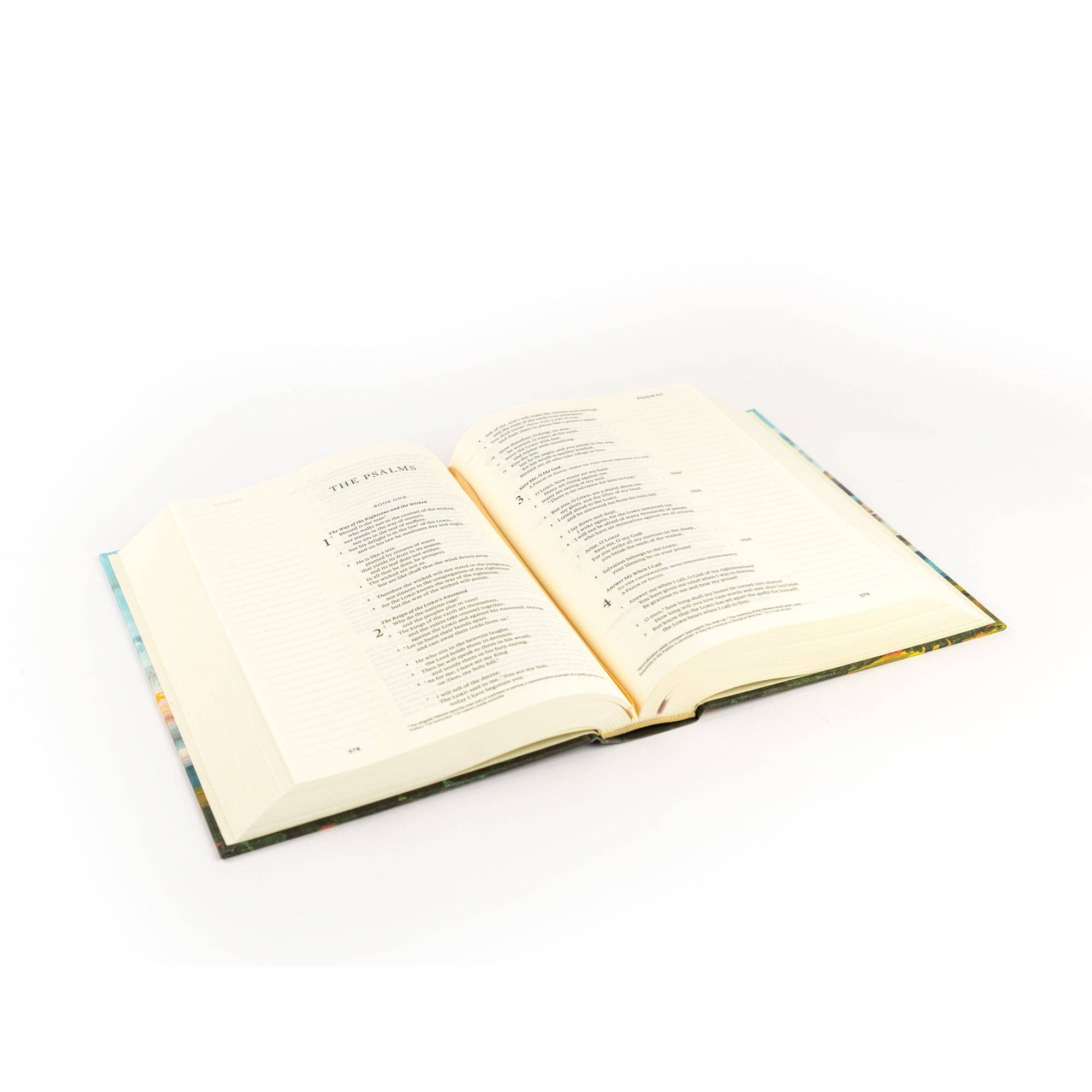 ESV Journaling Bible: Santa Lucia Theme - FINAL SALE