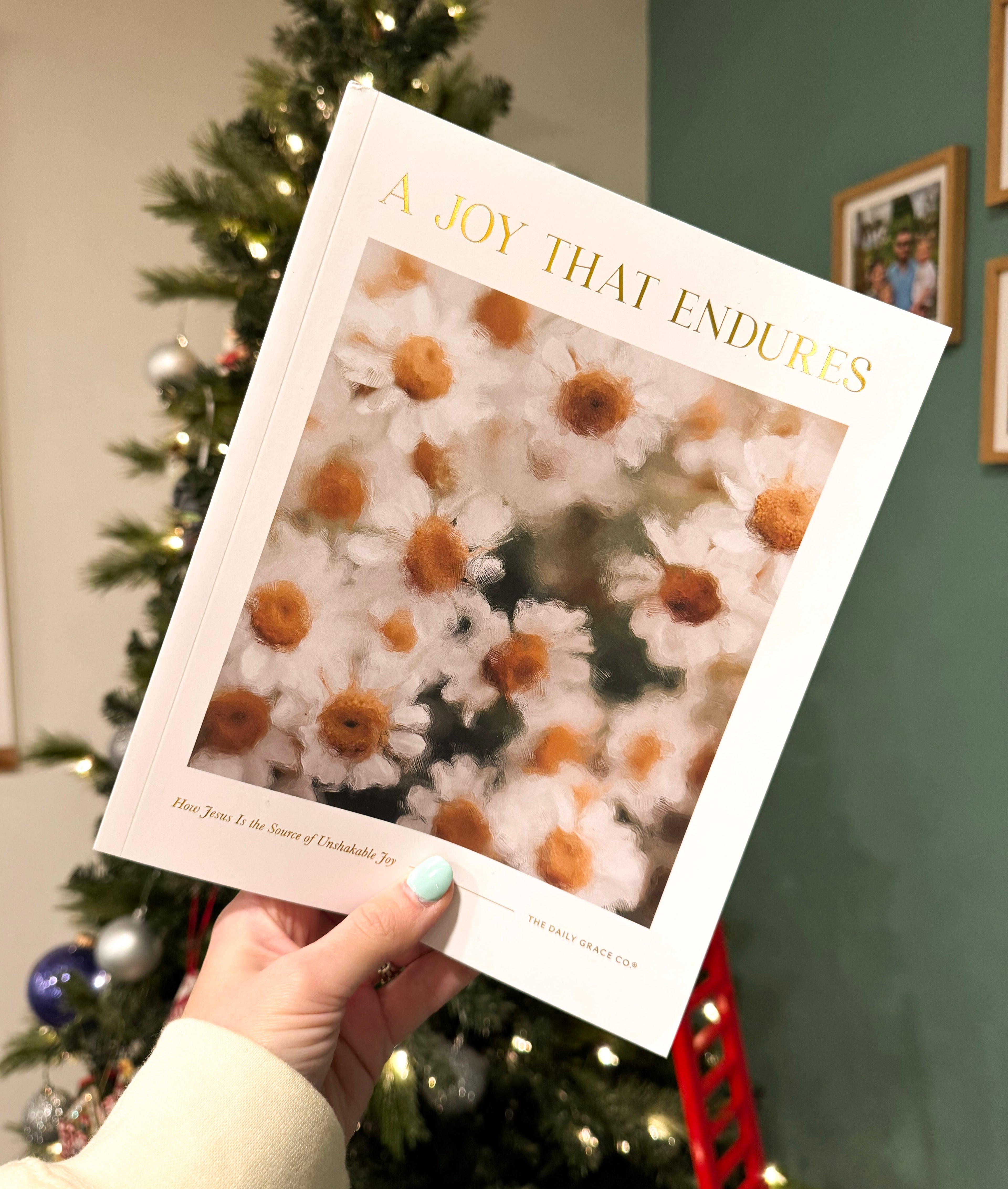 Daily Grace Co. A Joy that Endures