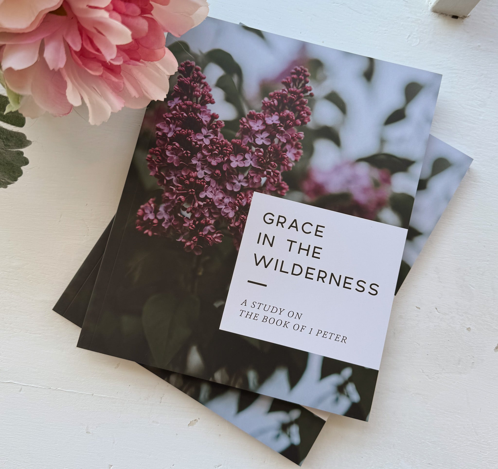 Daily Grace Co. Grace in the Wilderness | Study on 1 Peter