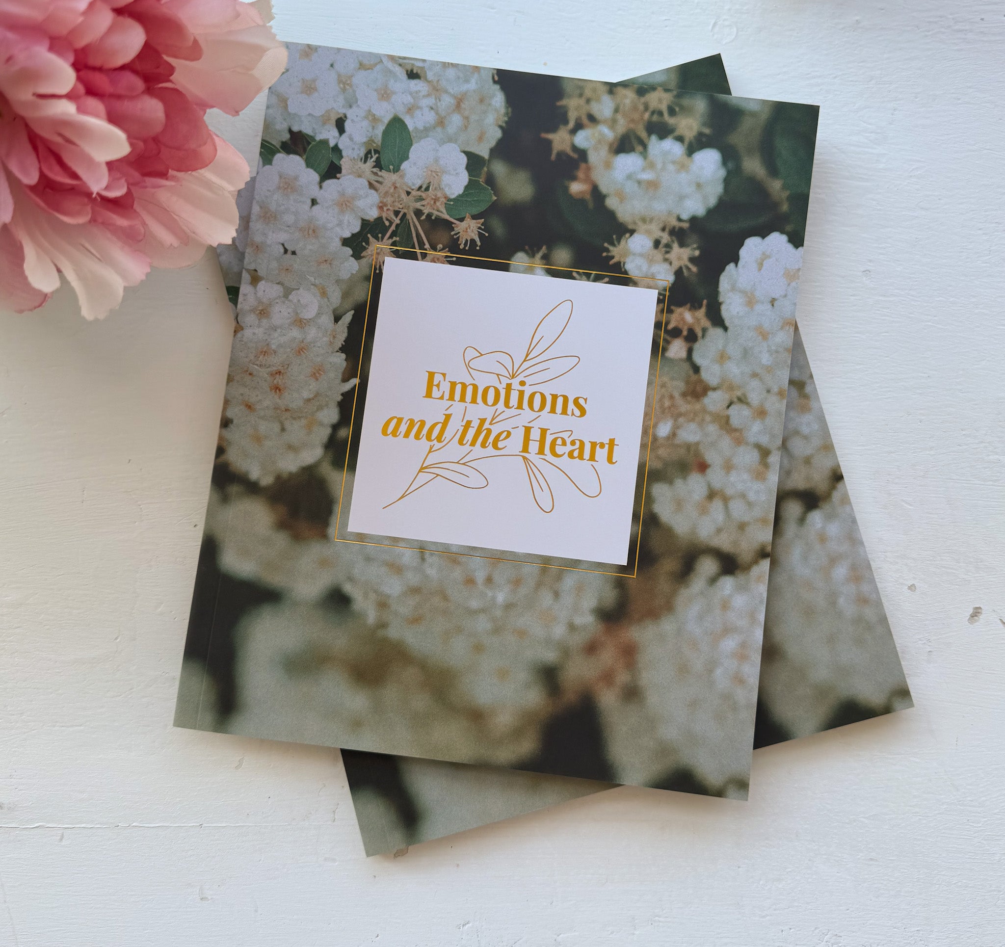 Daily Grace Co. Emotions and the Heart