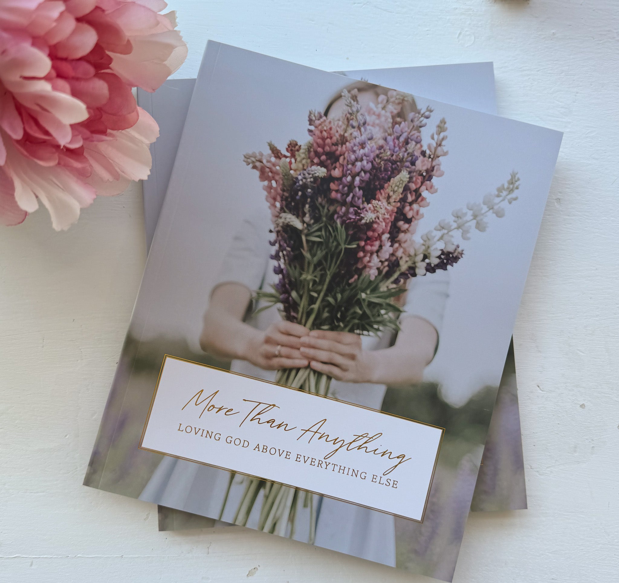 Daily Grace Co. More Than Anything | Idolatry Study