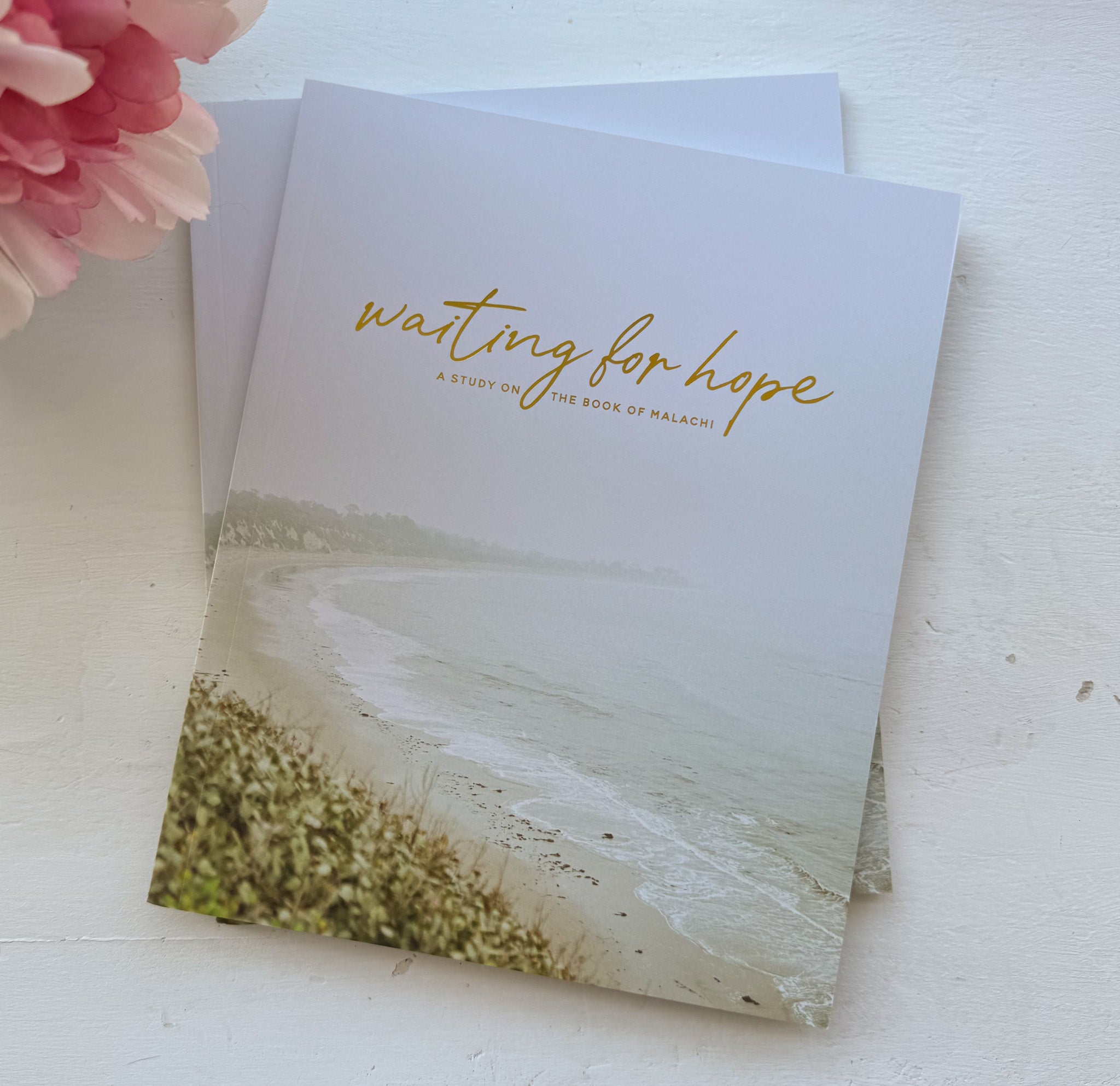 Daily Grace Co. Waiting for Hope | Malachi Bible Study