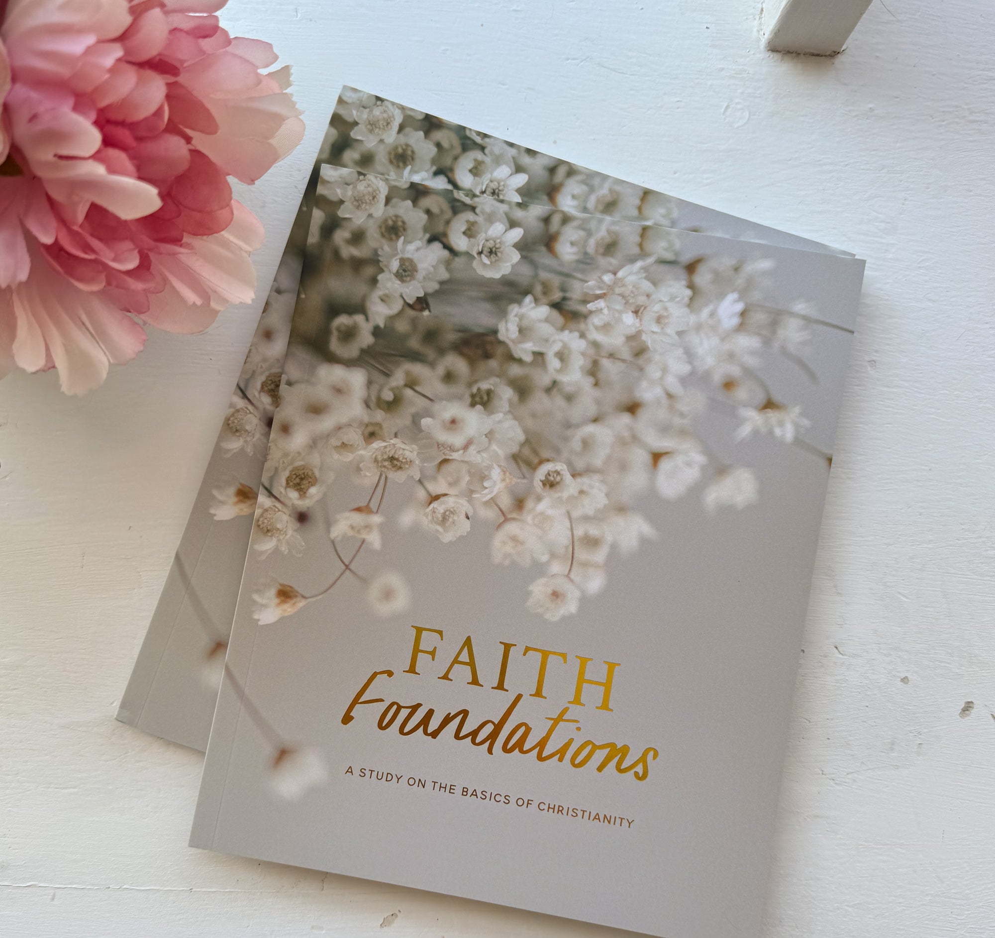 Daily Grace Co. Faith Foundations | A Study on the Basics of Christianity