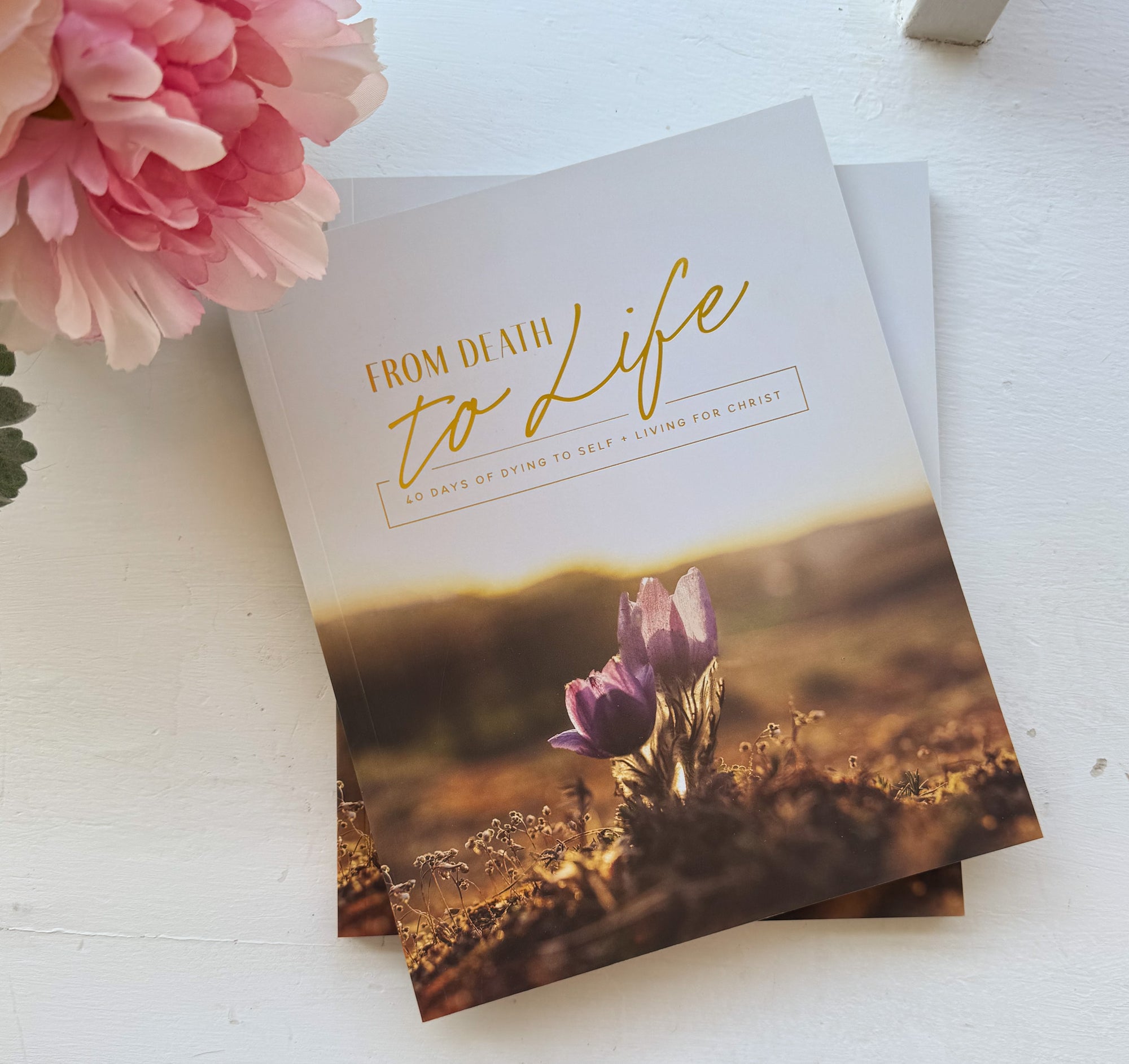 Daily Grace Co. From Death to Life | 40 Day Study