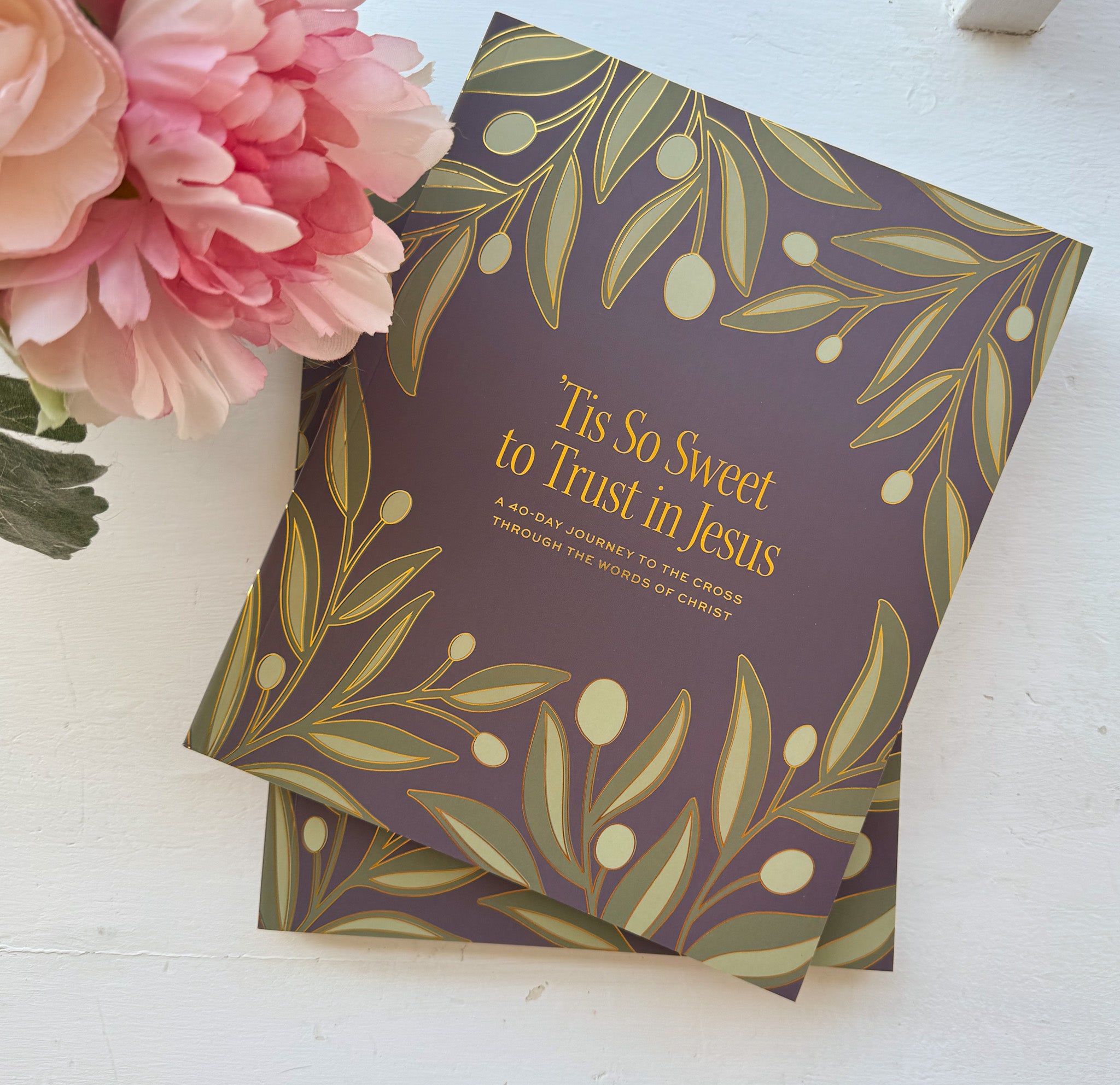 Daily Grace Co. ‘Tis So Sweet to Trust in Jesus: A 40-Day Journey to the Cross Through the Words of Christ