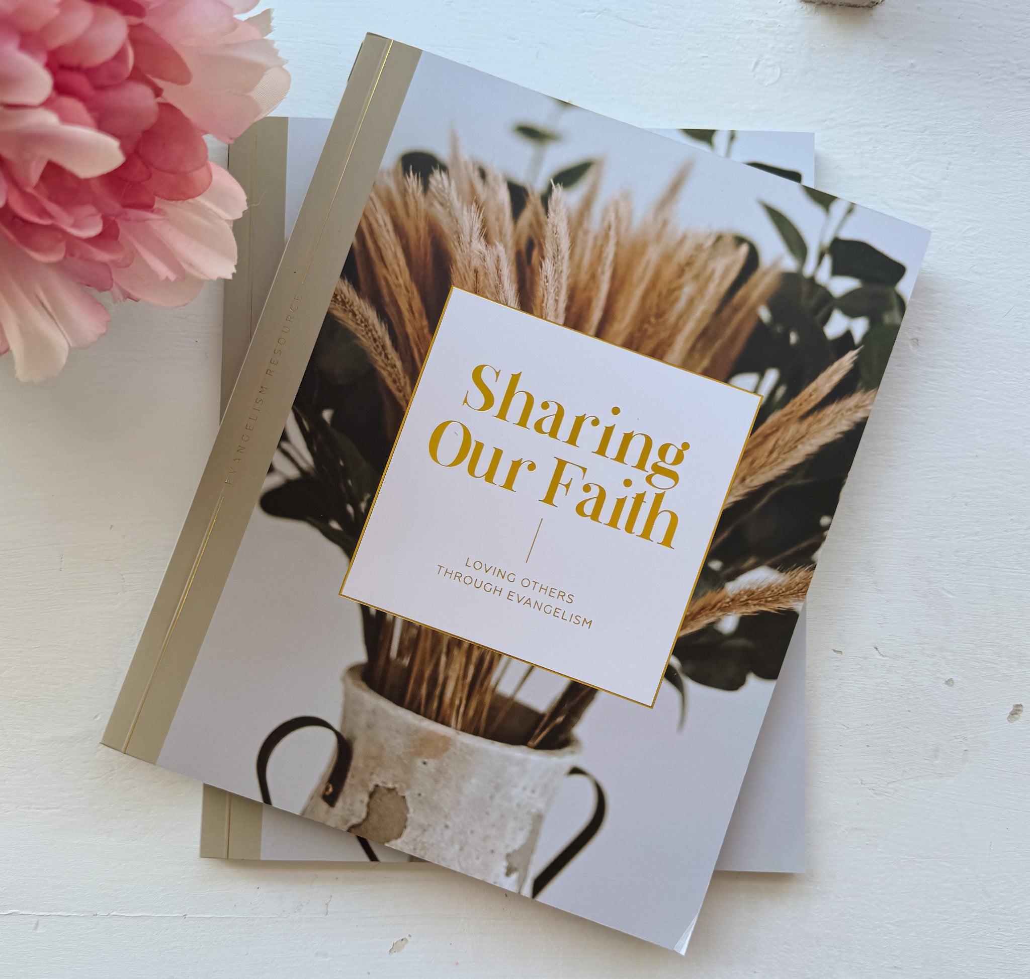 Daily Grace Co. Sharing Our Faith | Evangelism Resource