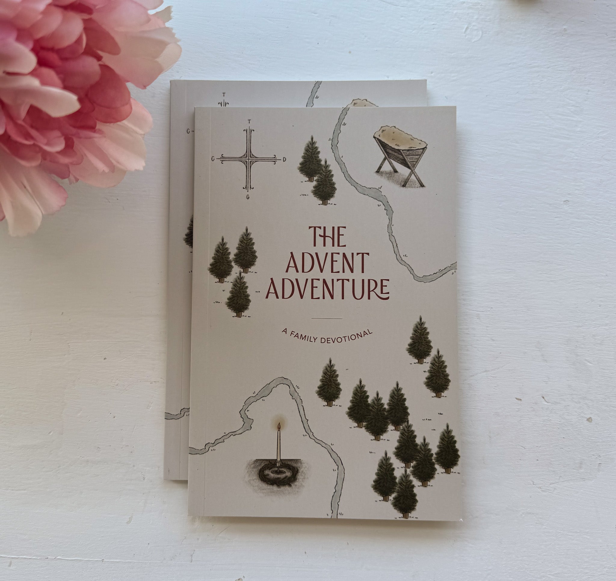 Daily Grace Co. The Advent Adventure: A Family Devotional