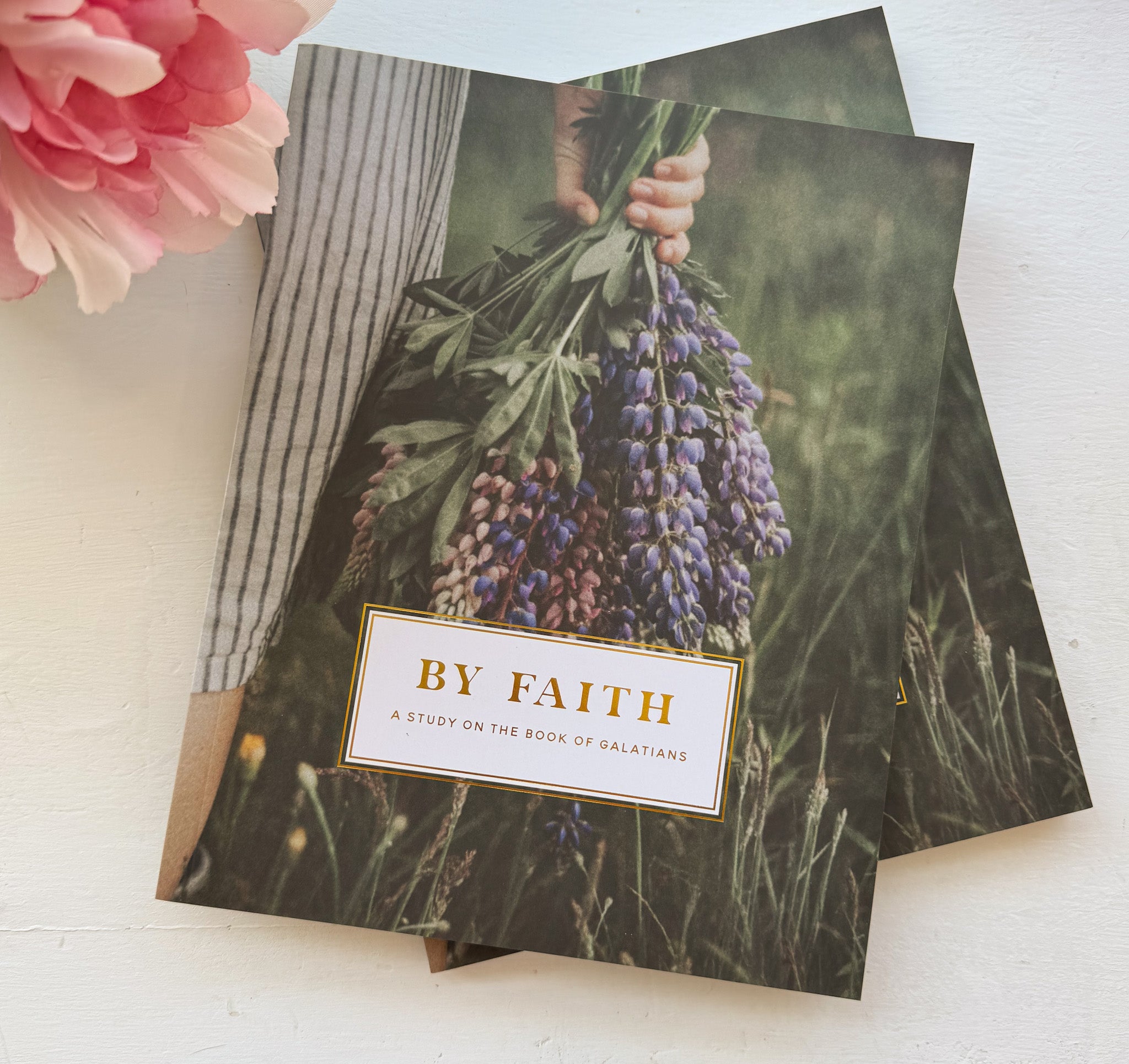 Daily Grace Co. By Faith | Galatians Study