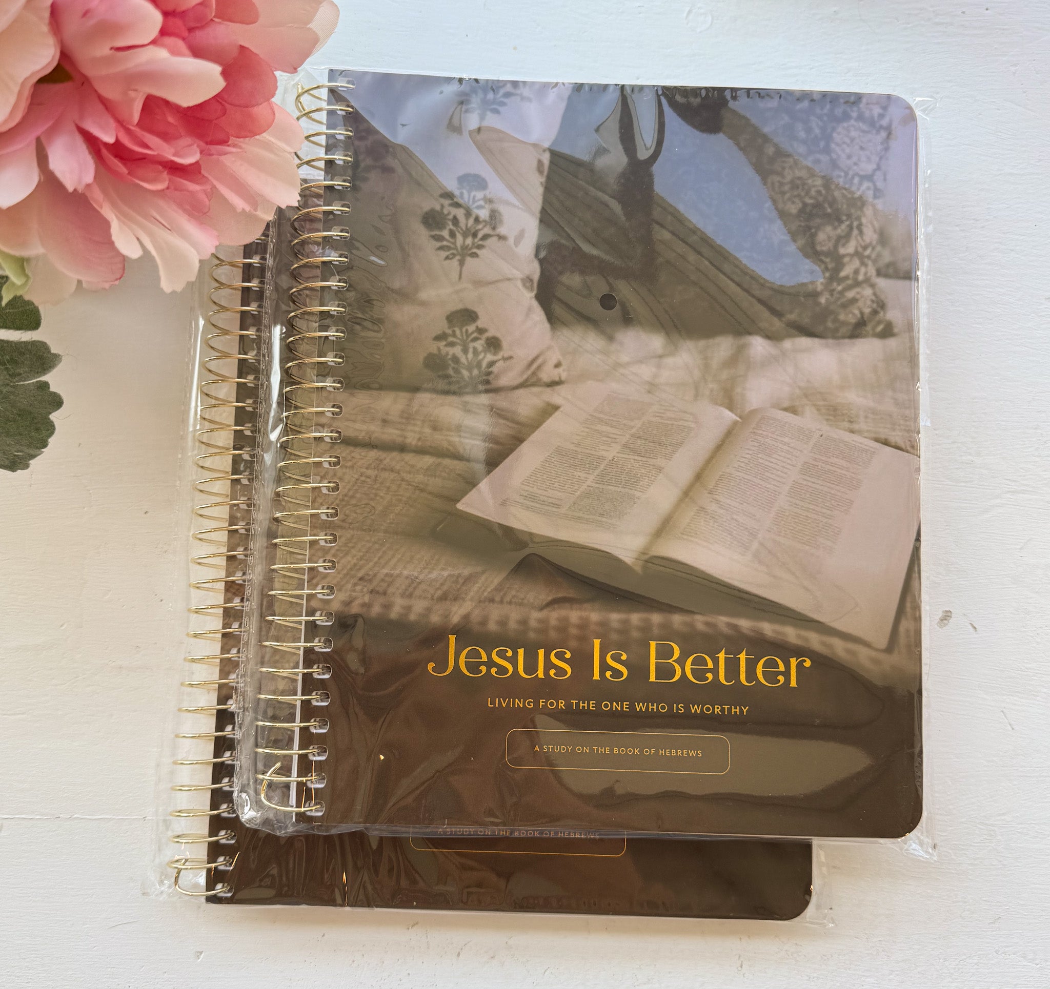 Daily Grace Co. Jesus is Better: Living for the One Who is Worthy