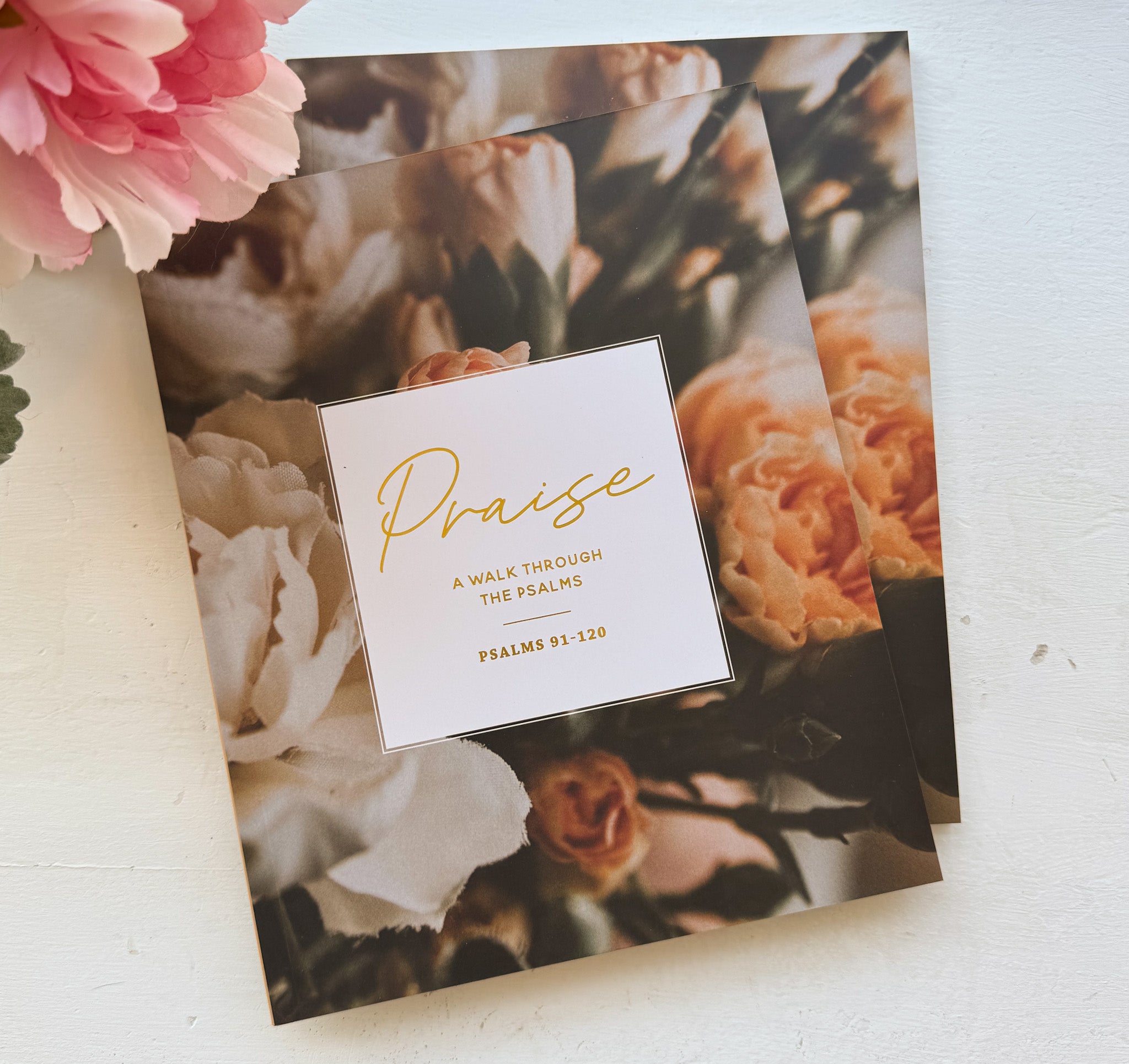 Daily Grace Co. Praise | Psalms 91-120
