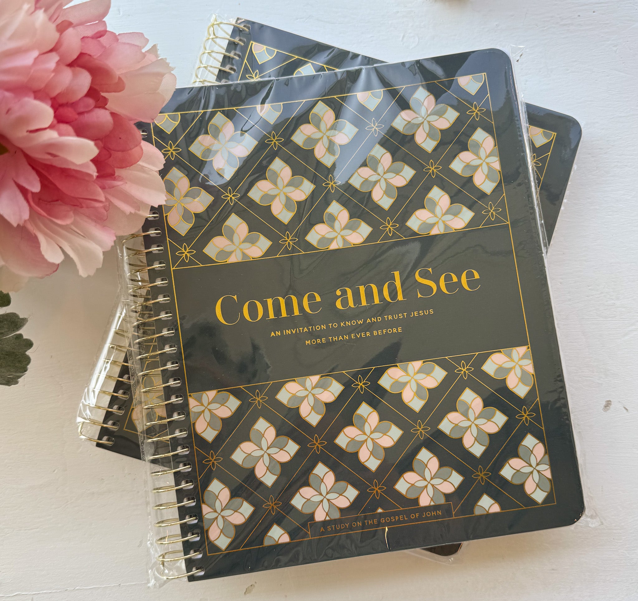 Daily Grace Co. Come and See | An Invitation to Know and Trust Jesus More than Ever Before