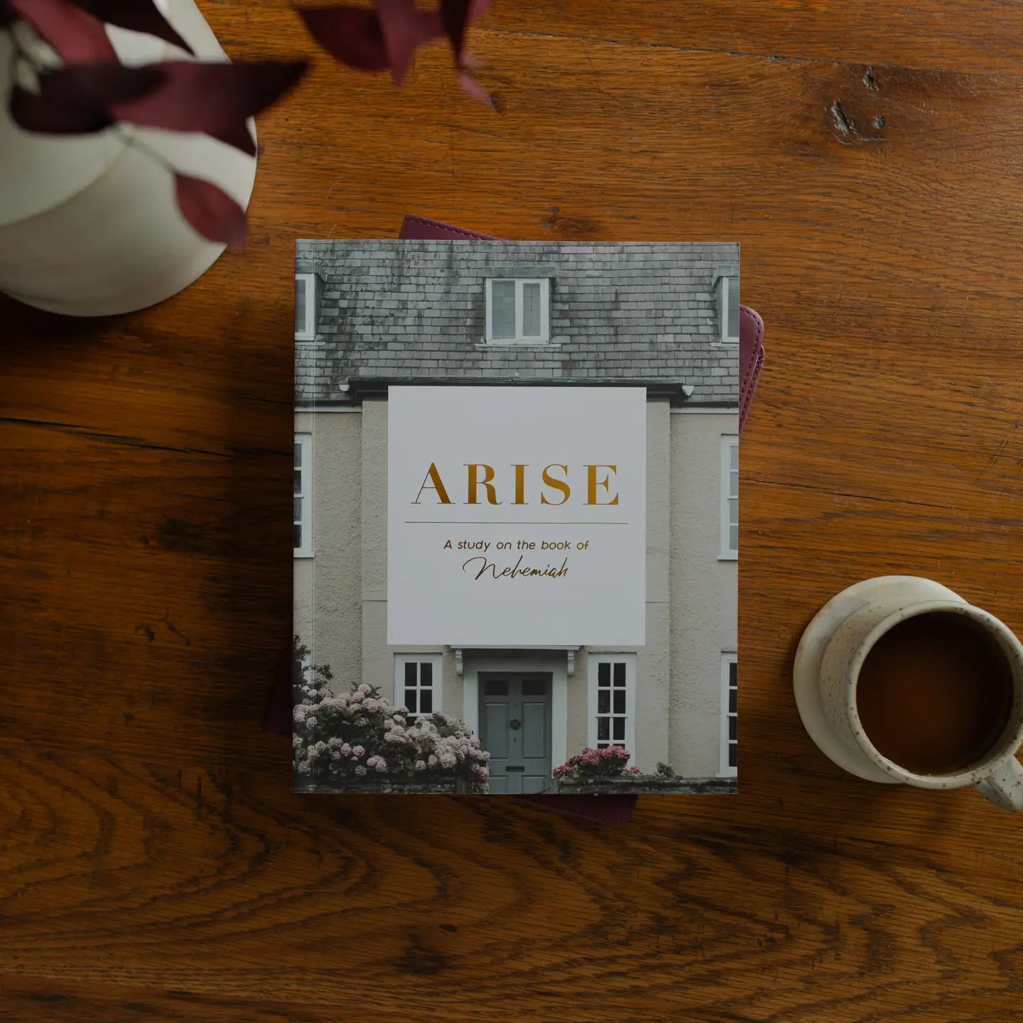 Daily Grace Co. Arise-Study on Nehemiah