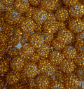 Amber Gold 16mm Rhinestone-Single