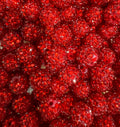 Red 16mm Rhinestone-Single