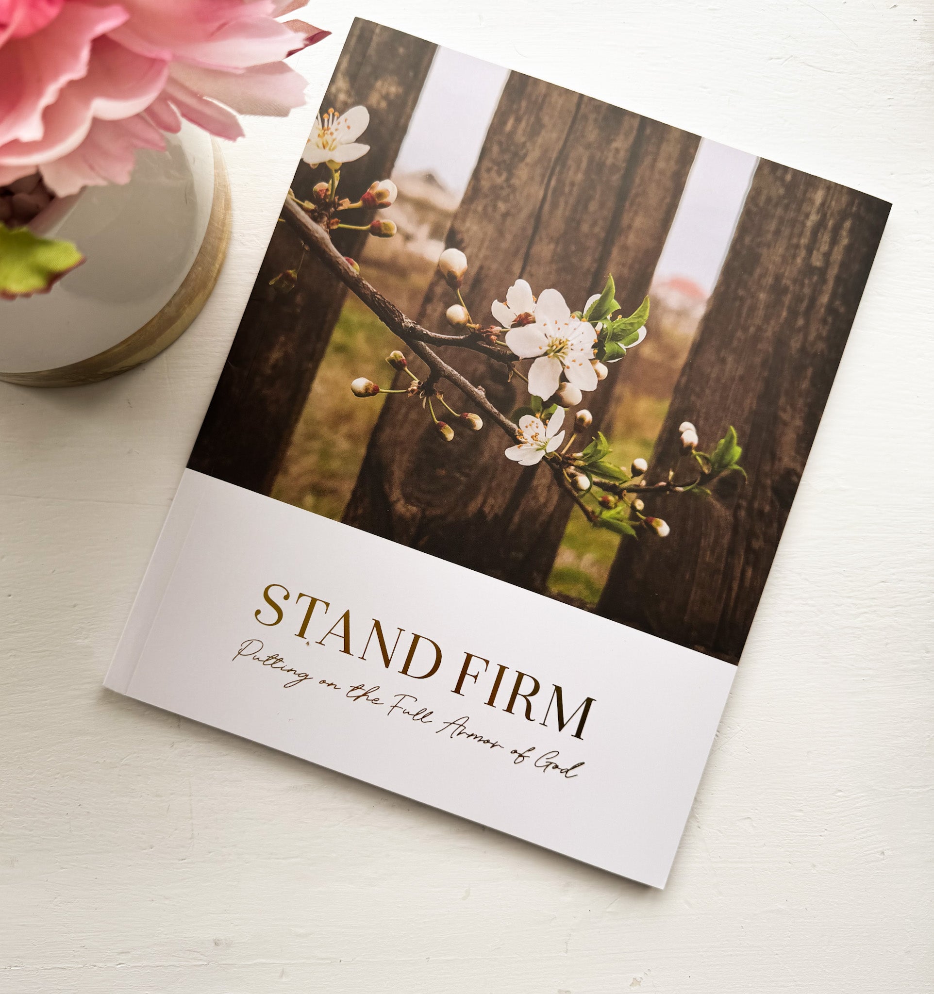 Daily Grace Co. Stand Firm: Putting on the Full Armor of God