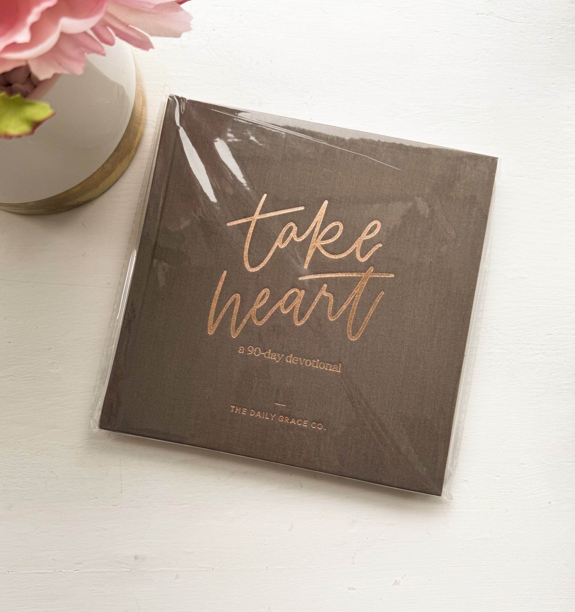 Daily Grace Co.- Take Heart Devotional