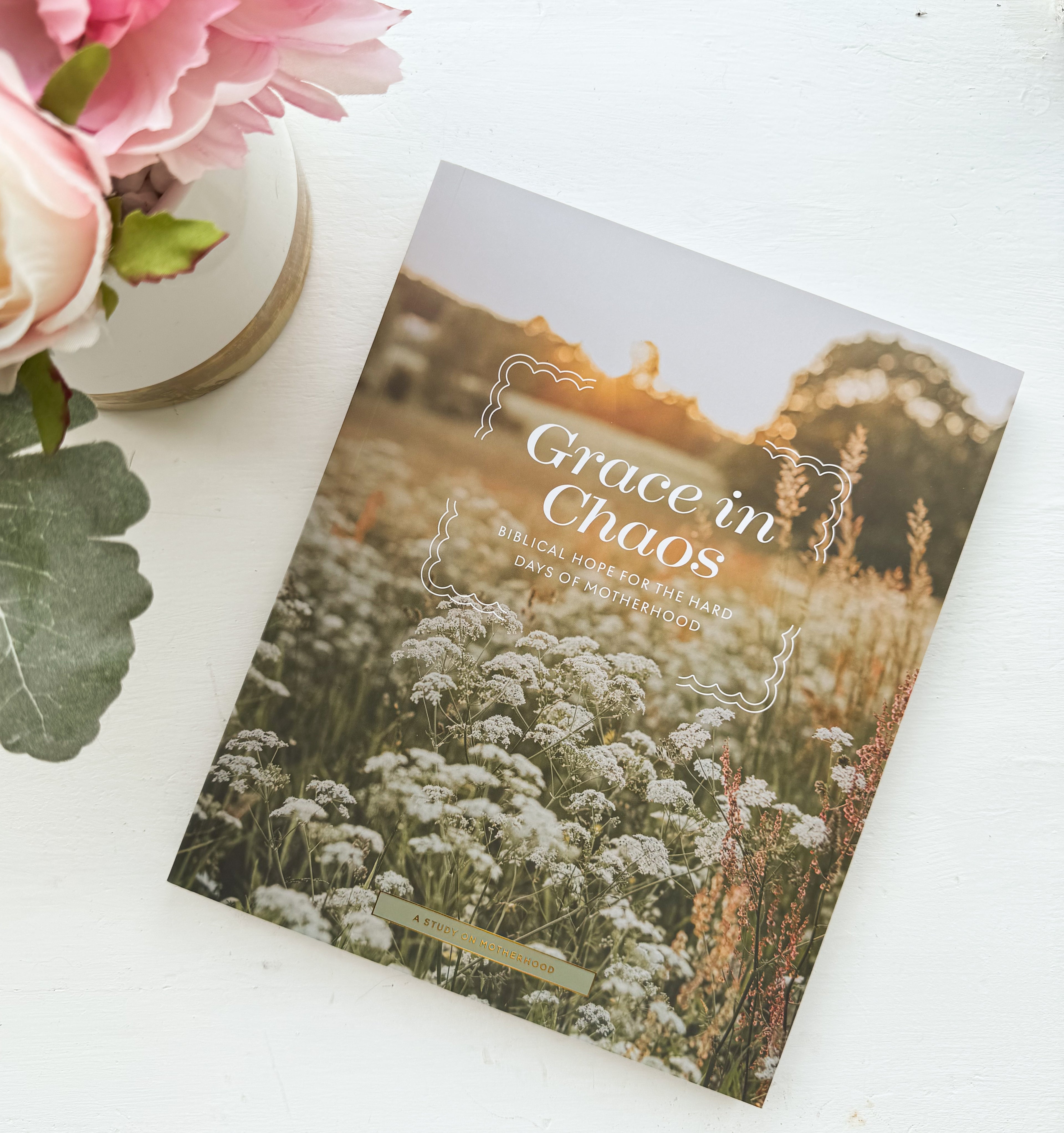 Daily Grace Co. Grace in The Chaos Study