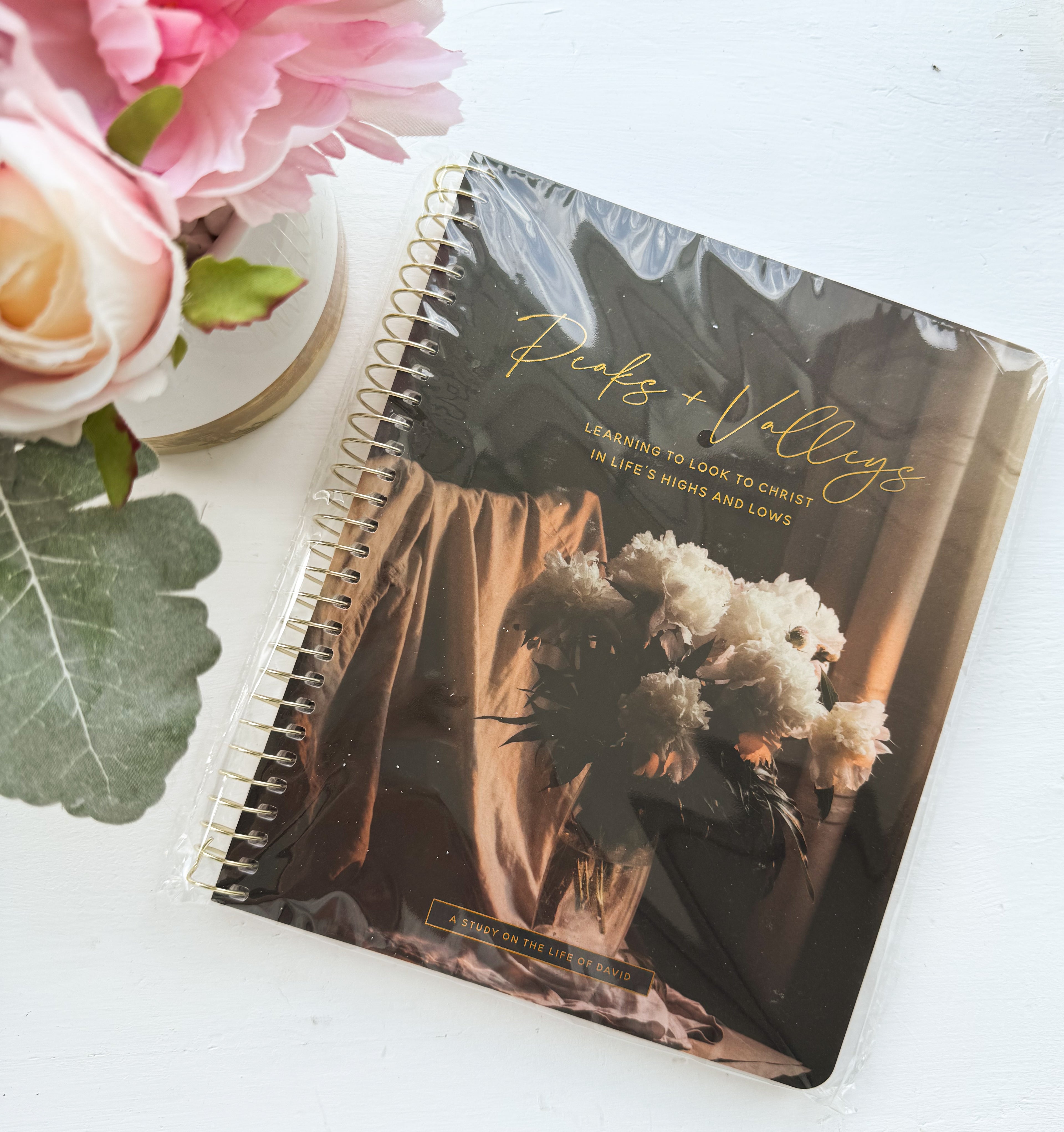 Daily Grace Co. Peaks & Valleys Study