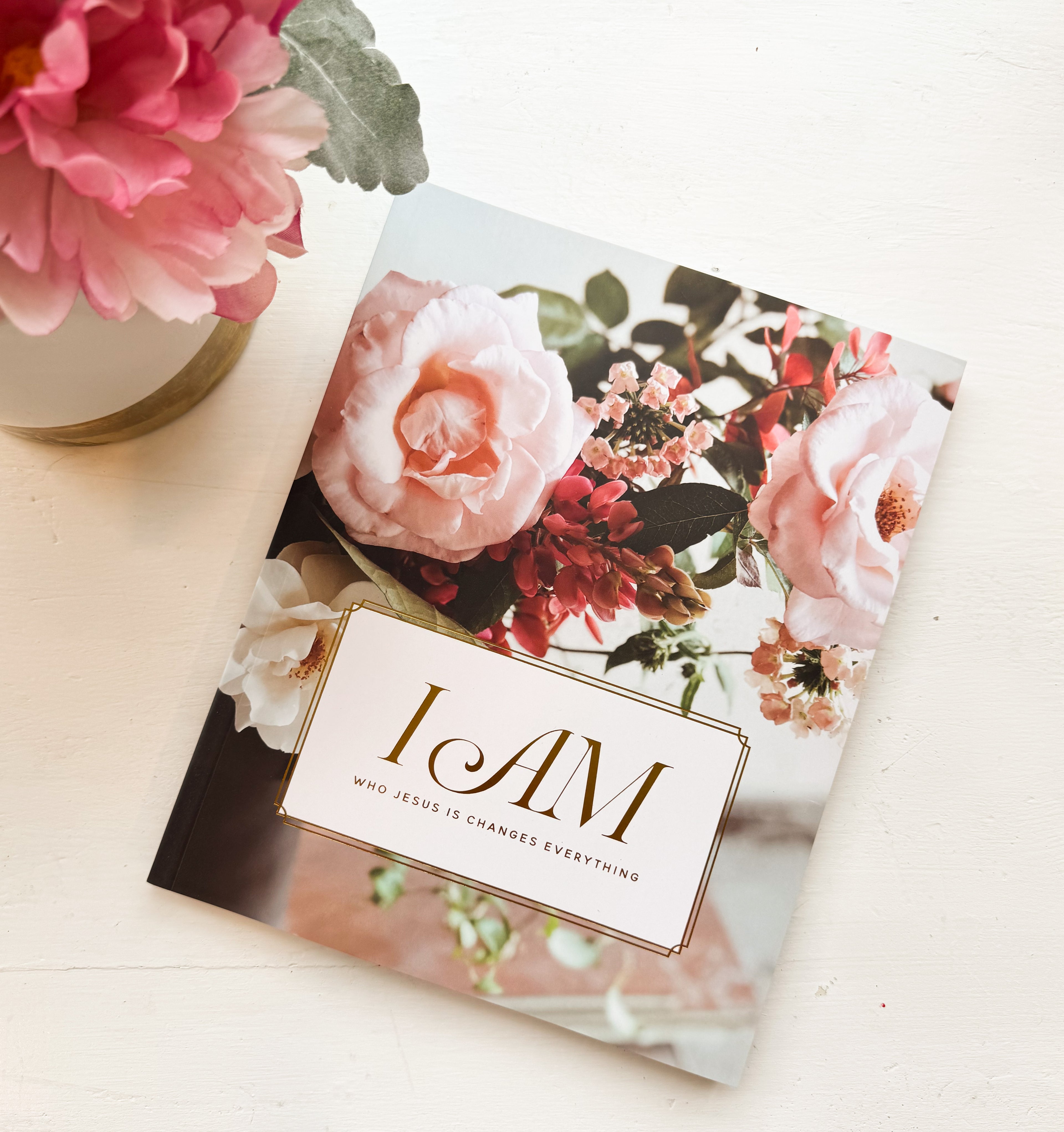 Daily Grace Co. I Am- Who Jesus is Changes Everything - FINAL SALE