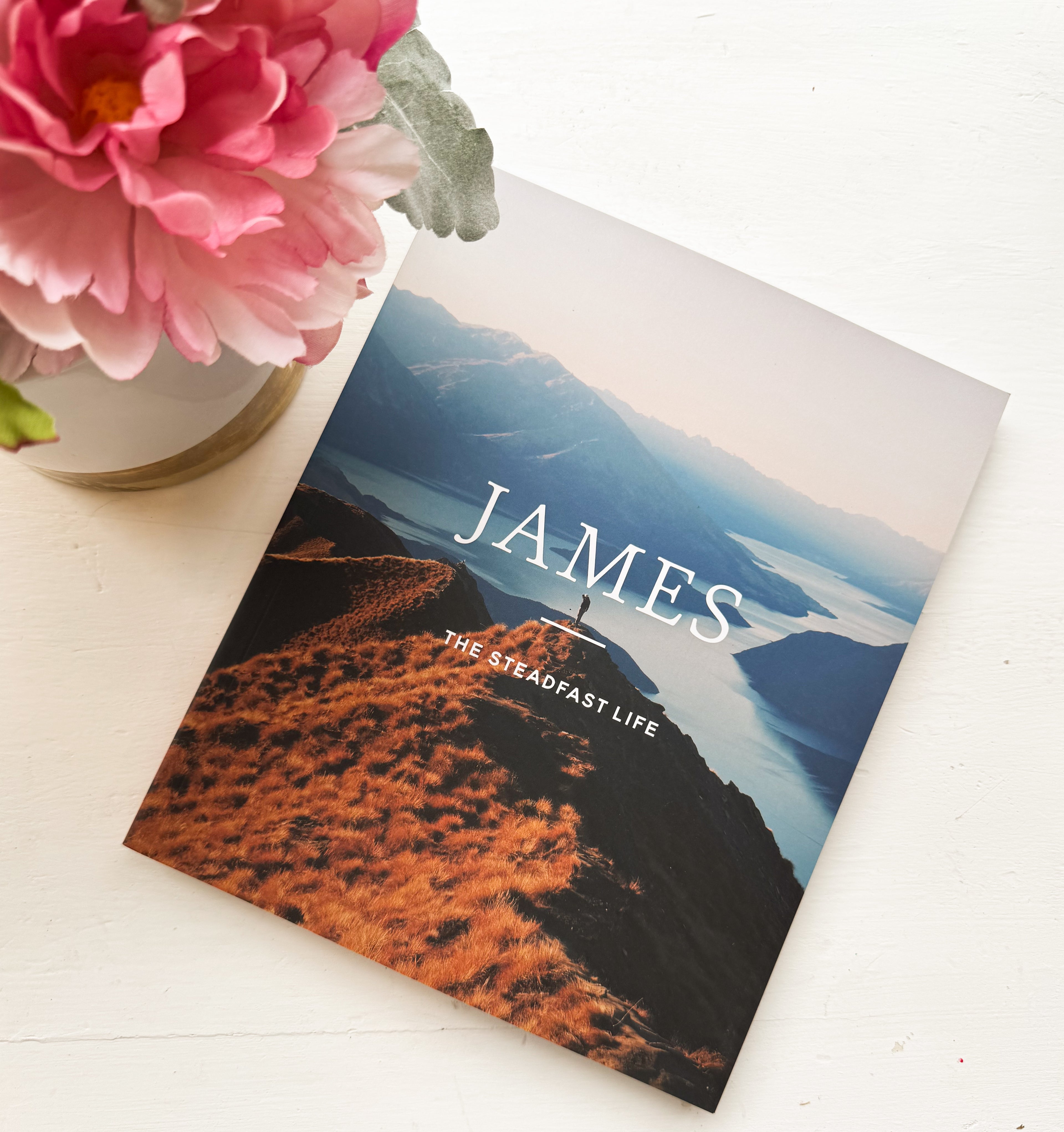 Daily Grace Co. James-The Steadfast Life