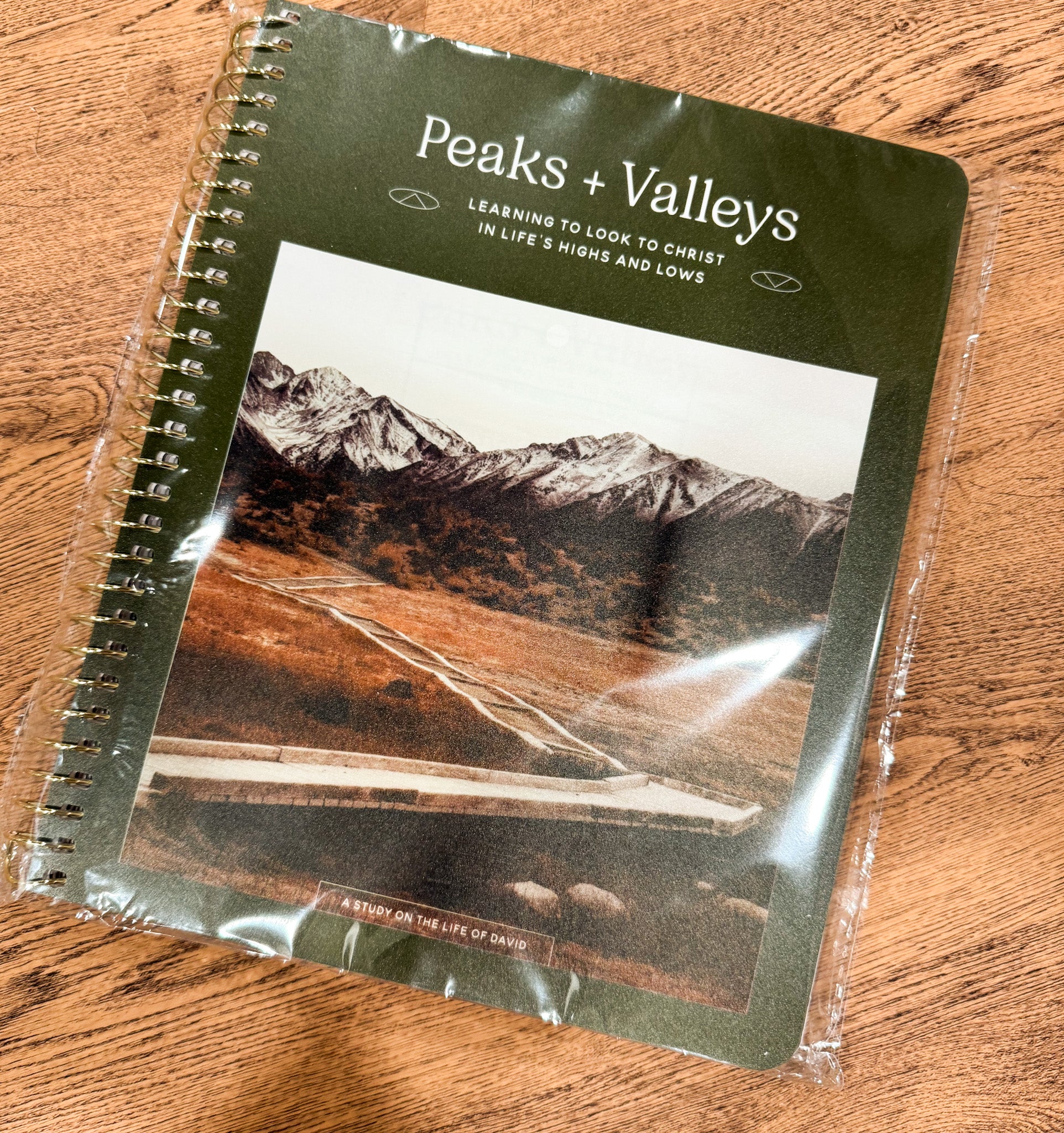 Daily Grace Co. Peaks and Valleys Mens Study