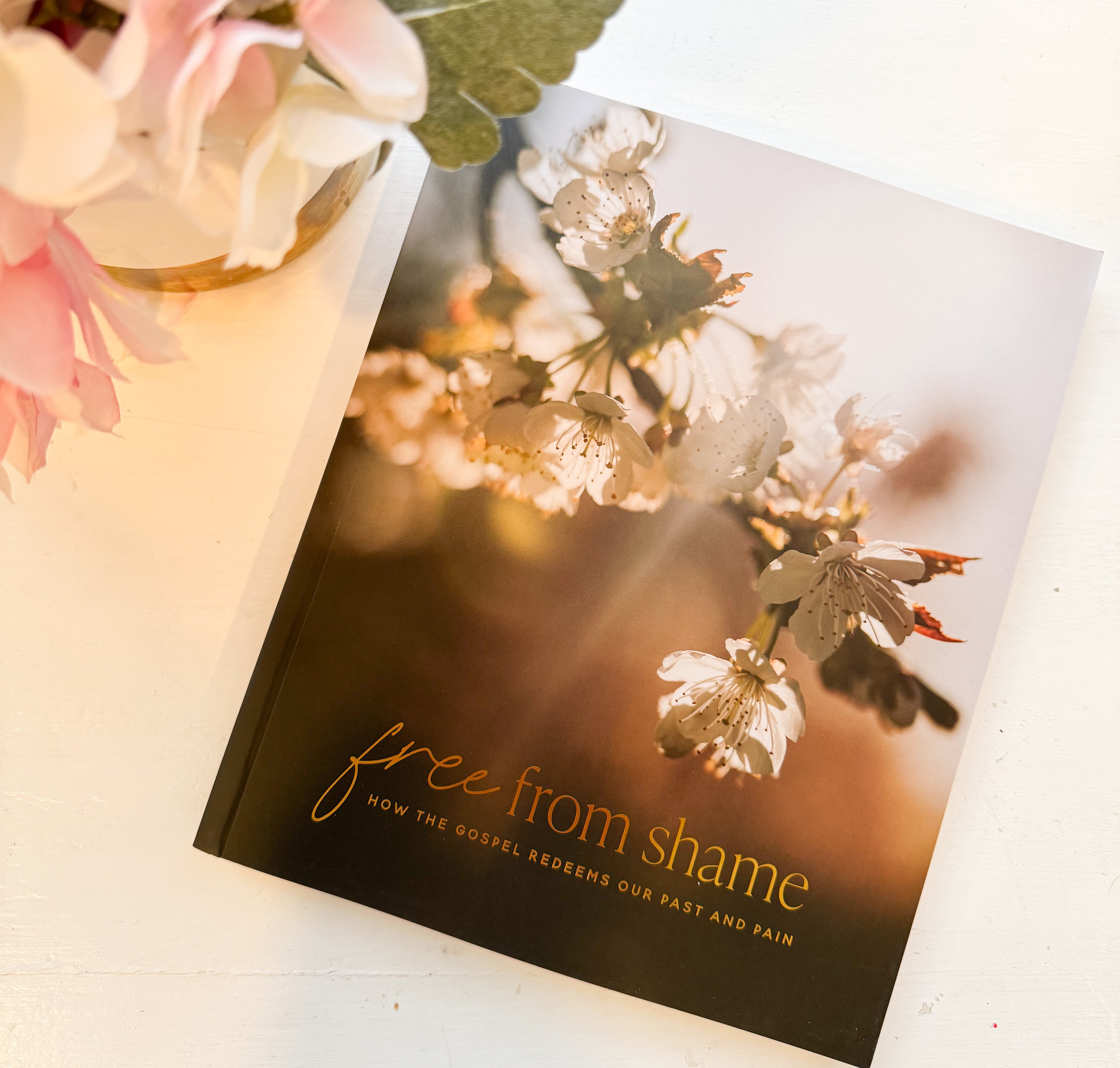 Daily Grace Co. Free From Shame