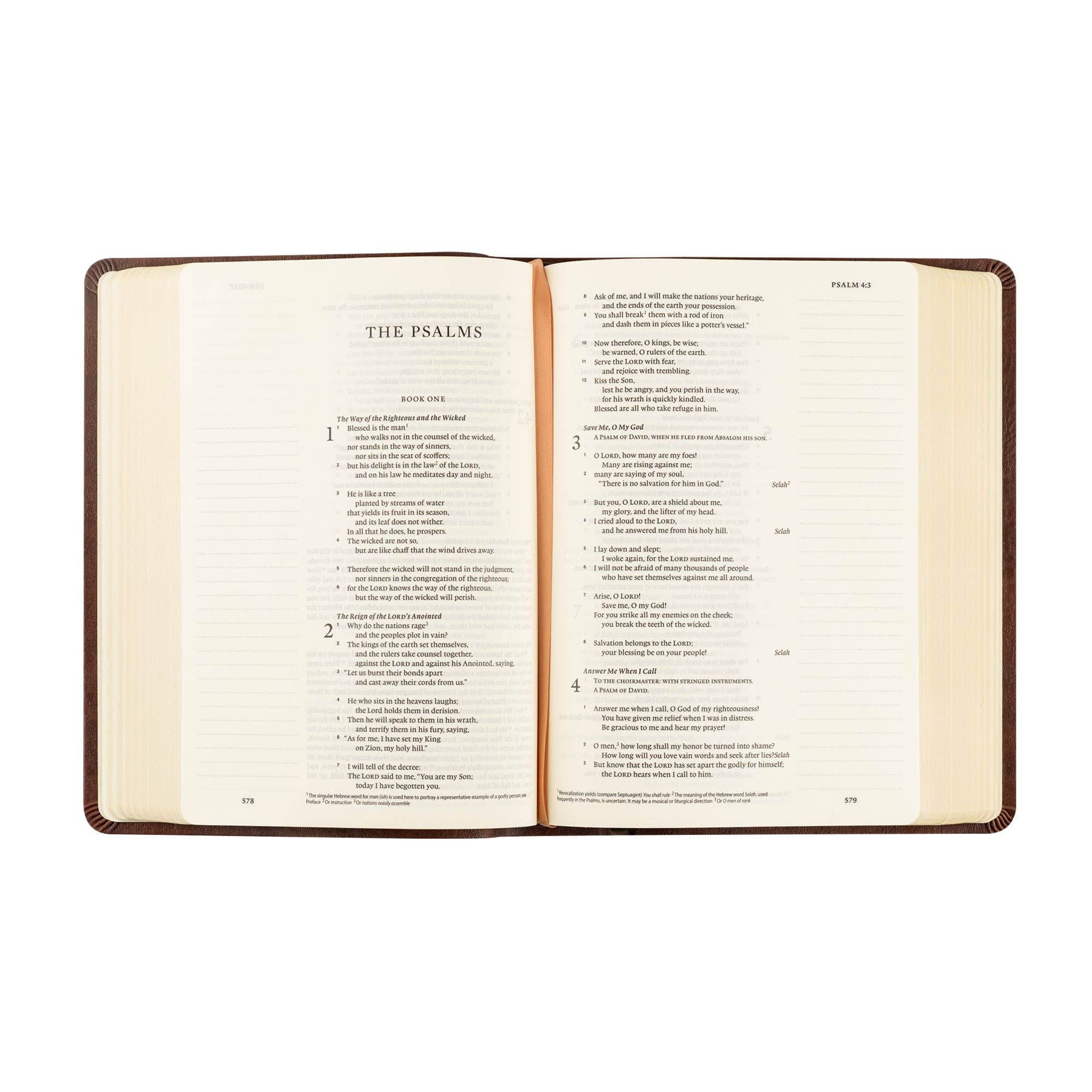 ESV Journaling Bible: Palma Theme