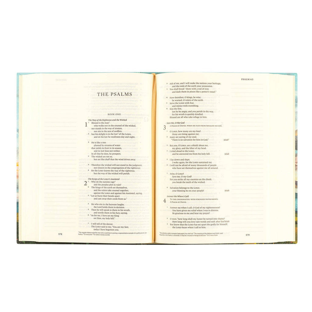 ESV Journaling Bible: Santa Lucia Theme - FINAL SALE